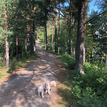 Rauhallinen Kaksio Urpolassa * Mikkeli
