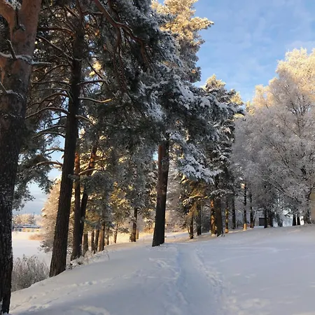Apartment Rauhallinen Kaksio Urpolassa Mikkeli